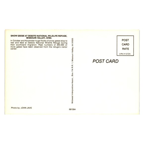 Snow Geese Wildlife Postcard DeSoto National Refuge Iowa Photography John Jave - Picture 2 of 2